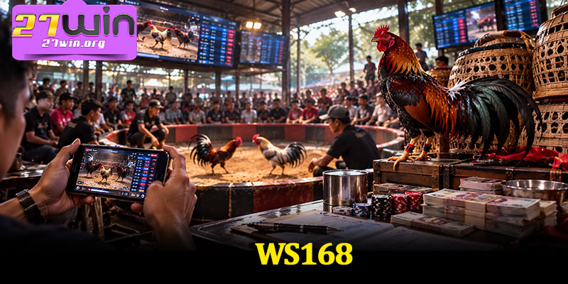 WS168